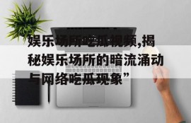 娱乐场所吃瓜视频,揭秘娱乐场所的暗流涌动与网络吃瓜现象”