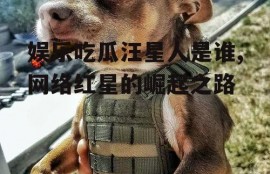 娱乐吃瓜汪星人是谁,网络红星的崛起之路