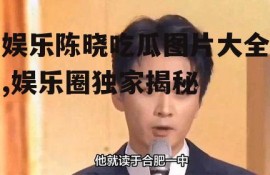 娱乐陈晓吃瓜图片大全,娱乐圈独家揭秘