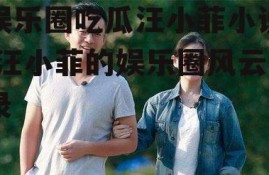 娱乐圈吃瓜汪小菲小说,汪小菲的娱乐圈风云录