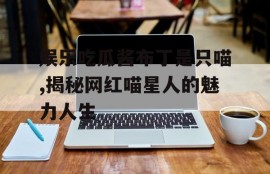 娱乐吃瓜酱布丁是只喵,揭秘网红喵星人的魅力人生