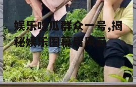 娱乐吃瓜群众一号,揭秘娱乐圈幕后风云