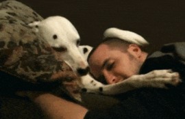 吃瓜娱乐图片搞笑版,搞笑版吃瓜娱乐图集大赏