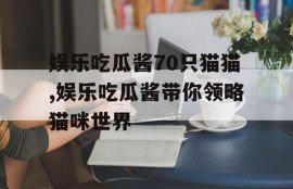 娱乐吃瓜酱70只猫猫,娱乐吃瓜酱带你领略猫咪世界