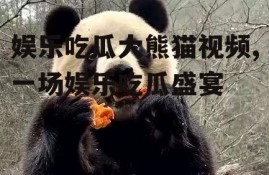 娱乐吃瓜大熊猫视频,一场娱乐吃瓜盛宴
