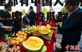 哪里都有中国人娱乐吃瓜,中国“吃瓜群众”的足迹