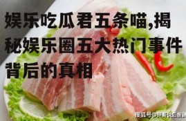 娱乐吃瓜君五条喵,揭秘娱乐圈五大热门事件背后的真相