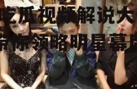 娱乐圈吃瓜视频解说大全,吃瓜视频解说大全，带你领略明星幕后故事