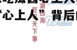 娱乐吃瓜酱心上人,揭秘“心上人”背后的故事
