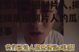 吃瓜娱乐圈制片人,揭秘娱乐圈制片人的瓜田秘事