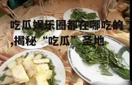 吃瓜娱乐圈都在哪吃的,揭秘“吃瓜”圣地