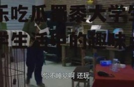 娱乐吃瓜蜀黍大学生,大学生活中的趣味点滴