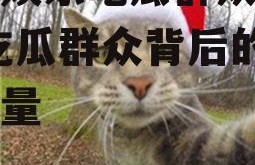 喵星娱乐吃瓜群众是谁啊,吃瓜群众背后的神秘力量