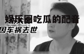 娱乐圈吃瓜的配音