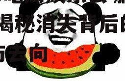 718吃瓜娱乐去哪里了,揭秘消失背后的真相与去向