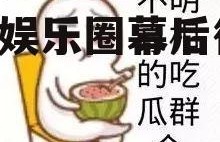 娱乐吃瓜酱算什么行业,揭秘娱乐圈幕后行业风云