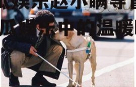 吃瓜娱乐赵小瞒导盲犬,吃瓜娱乐中的温暖瞬间