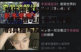 娱乐圈李易峰吃瓜事件,娱乐圈吃瓜事件背后的真相与反思