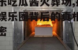 娱乐吃瓜酱火葬场,揭秘娱乐圈背后的真相与秘密