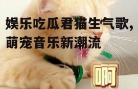 娱乐吃瓜君猫生气歌,萌宠音乐新潮流