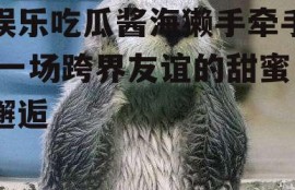 娱乐吃瓜酱海獭手牵手,一场跨界友谊的甜蜜邂逅