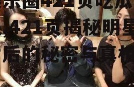 娱乐圈421页吃瓜小说,421页揭秘明星背后的秘密与真相