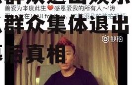 吃瓜群众退出娱乐圈,吃瓜群众集体退出，揭秘幕后真相