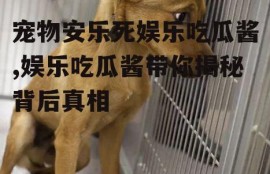 宠物安乐死娱乐吃瓜酱,娱乐吃瓜酱带你揭秘背后真相