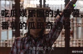 吃瓜娱乐圈的大番薯,番薯的瓜田奇遇记