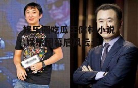 娱乐圈吃瓜王健林小说,娱乐圈幕后风云录