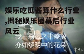 娱乐吃瓜酱算什么行业,揭秘娱乐圈幕后行业风云