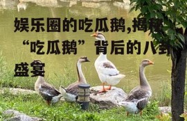 娱乐圈的吃瓜鹅,揭秘“吃瓜鹅”背后的八卦盛宴