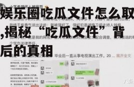 娱乐圈吃瓜文件怎么取,揭秘“吃瓜文件”背后的真相