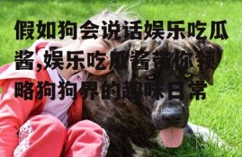 假如狗会说话娱乐吃瓜酱,娱乐吃瓜酱带你领略狗狗界的趣味日常