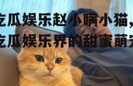吃瓜娱乐赵小瞒小猫,吃瓜娱乐界的甜蜜萌宠