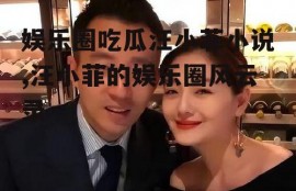 娱乐圈吃瓜汪小菲小说,汪小菲的娱乐圈风云录