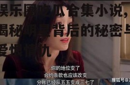 娱乐圈吃瓜合集小说,揭秘明星背后的秘密与爱恨情仇