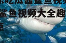 娱乐吃瓜酱鲨鱼视频大全,鲨鱼视频大全趣味盘点