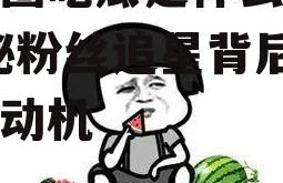 娱乐圈吃瓜是什么心理,揭秘粉丝追星背后的心理动机