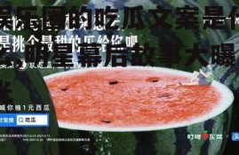 娱乐圈的吃瓜文案是什么,明星幕后故事大曝光