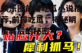 娱乐圈前排吃瓜小说推荐,前排吃瓜，揭秘明星背后的秘密