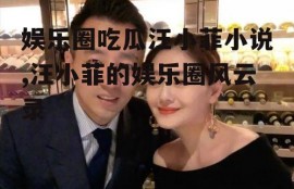 娱乐圈吃瓜汪小菲小说,汪小菲的娱乐圈风云录