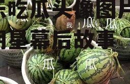 娱乐吃瓜头像图片,揭秘明星幕后故事