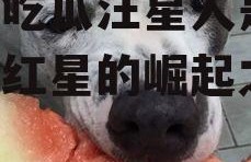 娱乐吃瓜汪星人是谁,网络红星的崛起之路