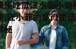 娱乐吃瓜汪小菲小说阅读,汪小菲的豪门生活揭秘