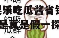 娱乐吃瓜酱省钱是真的吗,娱乐吃瓜酱省钱真相，是真是假一探究竟