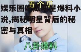 娱乐圈吃瓜明星爆料小说,揭秘明星背后的秘密与真相