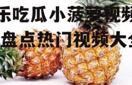 娱乐吃瓜小菠萝视频大全,盘点热门视频大全