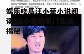 娱乐吃瓜汪小菲小说阅读,汪小菲的豪门生活揭秘