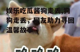 娱乐吃瓜酱狗走丢,狗狗走丢，网友助力寻回温馨故事